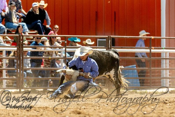 IMG_3381