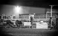 IMG_2012_08_04_7205