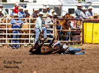 High School Steer Wrestling Canton Saturday 2024