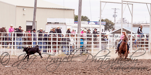 IMG_2461