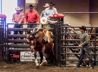 Short Go Saddle Bronc