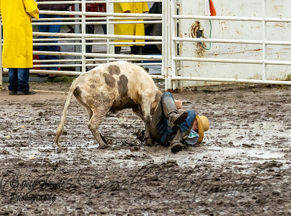 IMG_0635