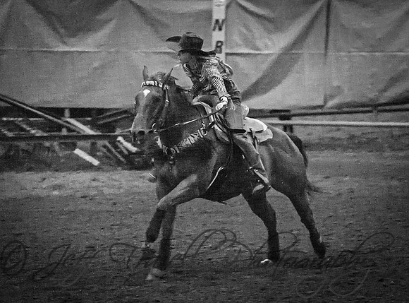 IMG_1126