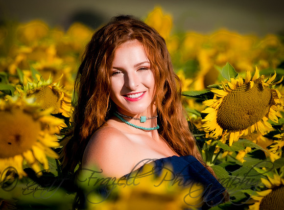 _E0I1531-Edit-Edit