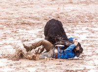 Steer Wrestling