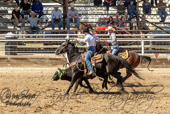 IMG_3091