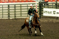 Short Go Reining