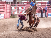 High School Calf Roping