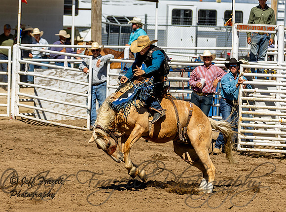 IMG_2385