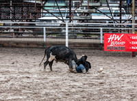 Steer Wrestling