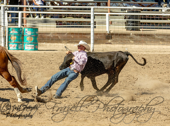 IMG_6485
