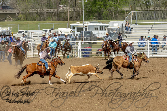 IMG_8253