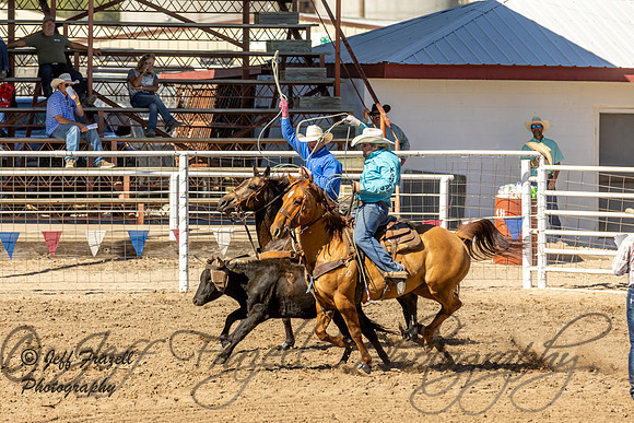 IMG_3104