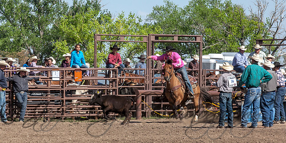IMG_5402