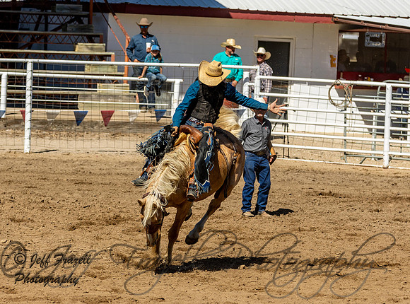 IMG_2390
