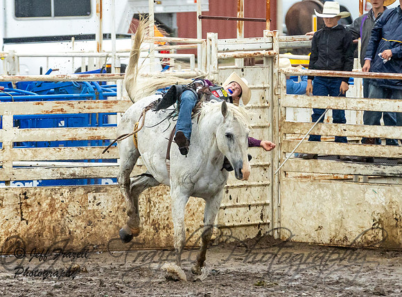 IMG_0469