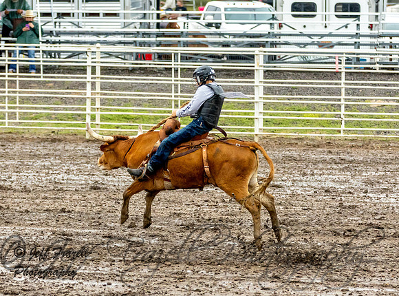 IMG_0909