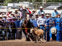 Tie Down Roping Oswego Saturday 17-18