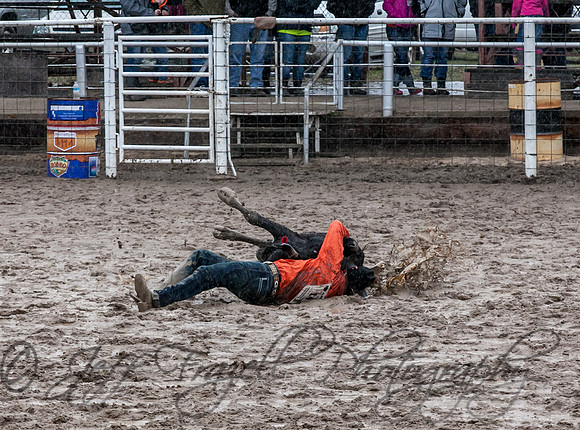 IMG_0167