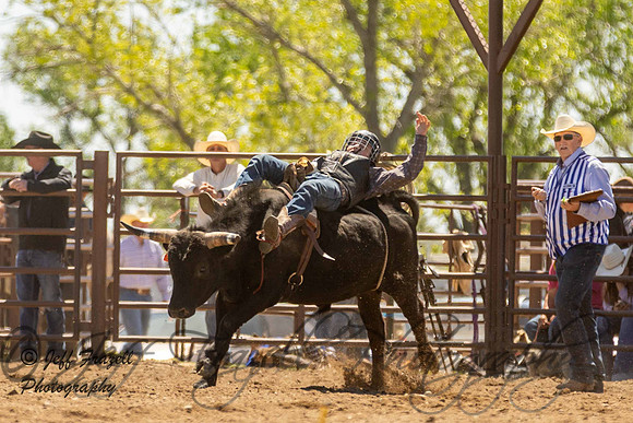 IMG_3637
