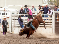 IMG_1944