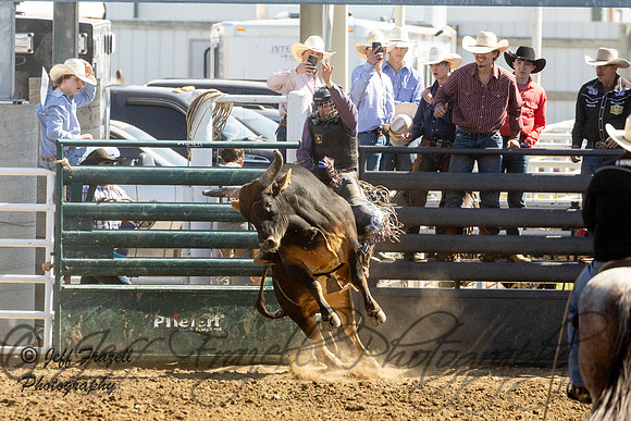 IMG_3750