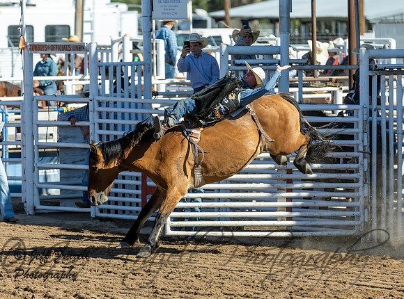 IMG_4238