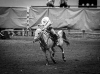 IMG_1050
