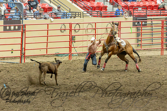 IMG_8373-Enhanced-NR