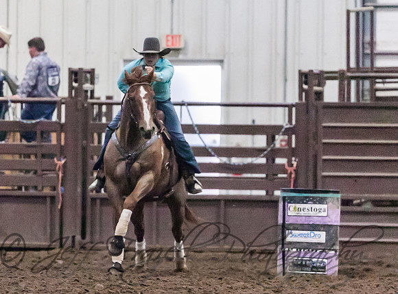 IMG_3293