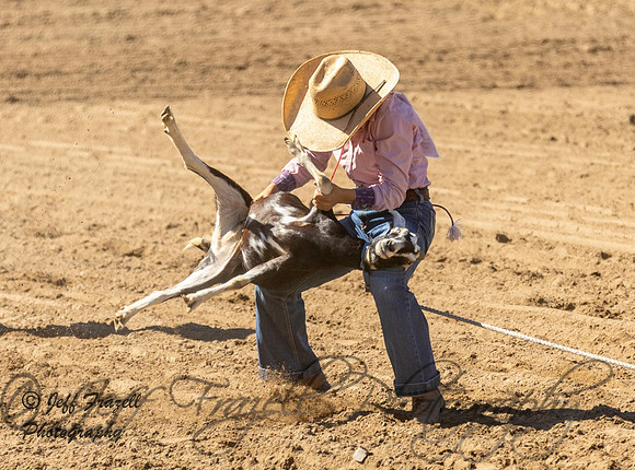 IMG_2516