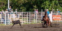 IMG_0459