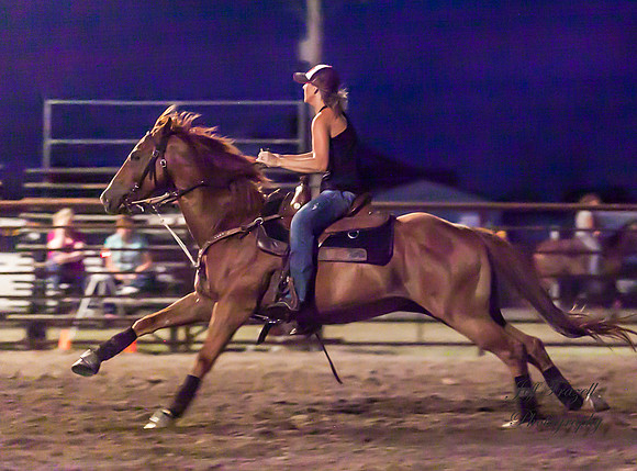 IMG_6529
