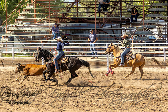 IMG_3305