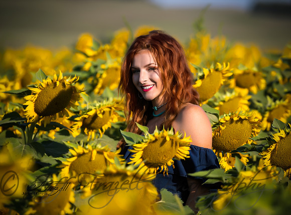 _E0I1528-Edit-Edit