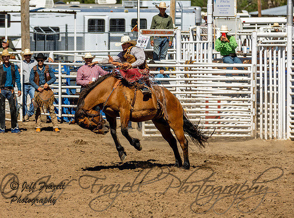 IMG_2426