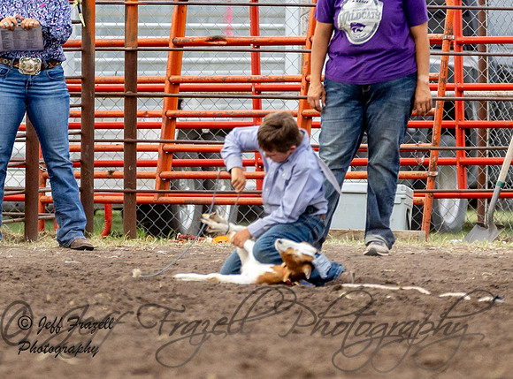 IMG_9746