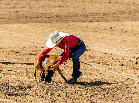 IMG_2496