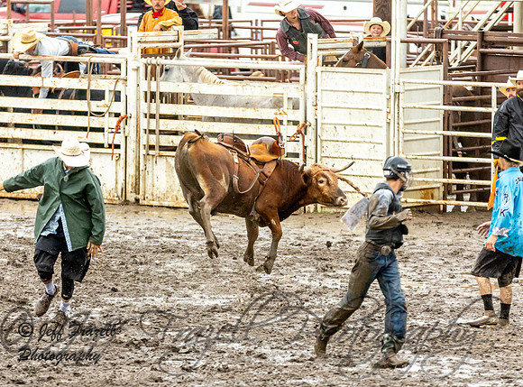 IMG_0888
