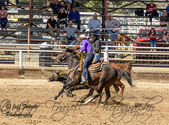 IMG_3017