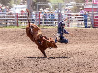 IMG_2362