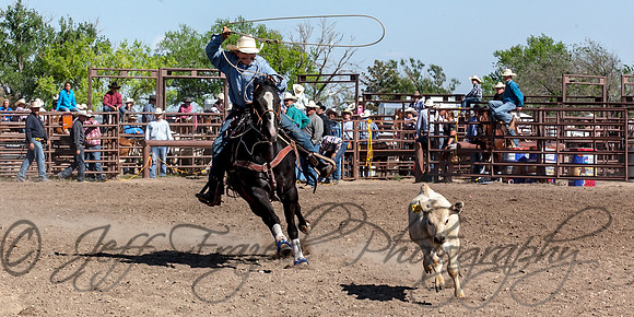 IMG_5415