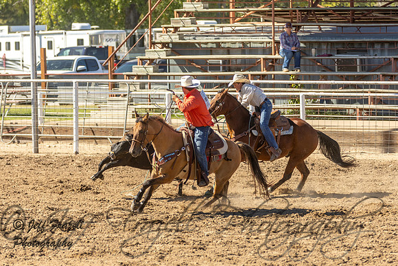 IMG_3260