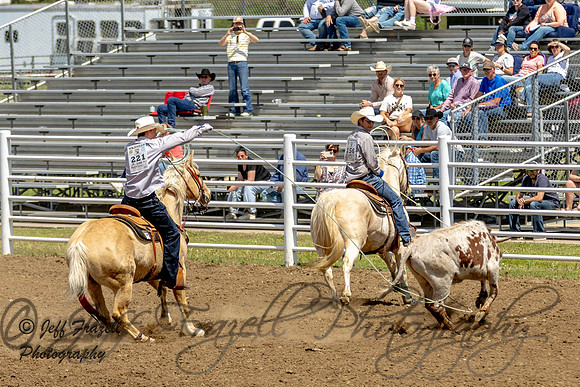 IMG_7921