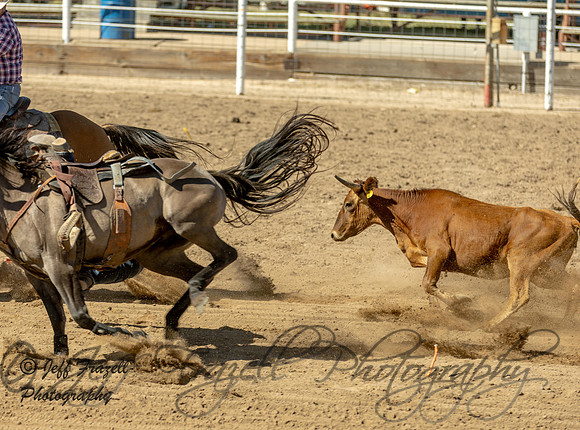 IMG_6516