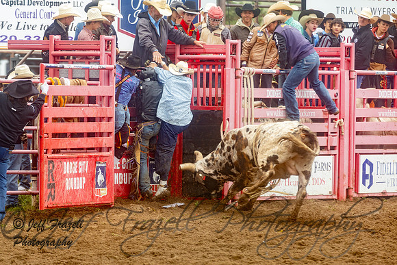 IMG_0026