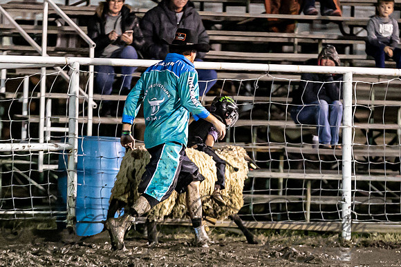 _E0I5358