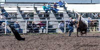IMG_9104