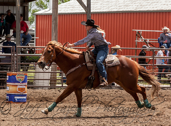IMG_4397