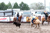 Break Away Roping